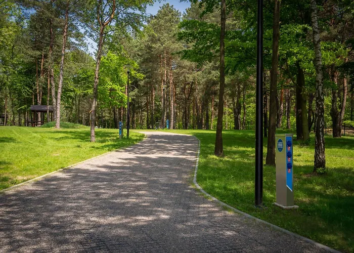 Resort Osada Zborow Camp & Bed